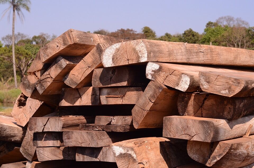 Why You Should Furnish Your Home With Solid Oak